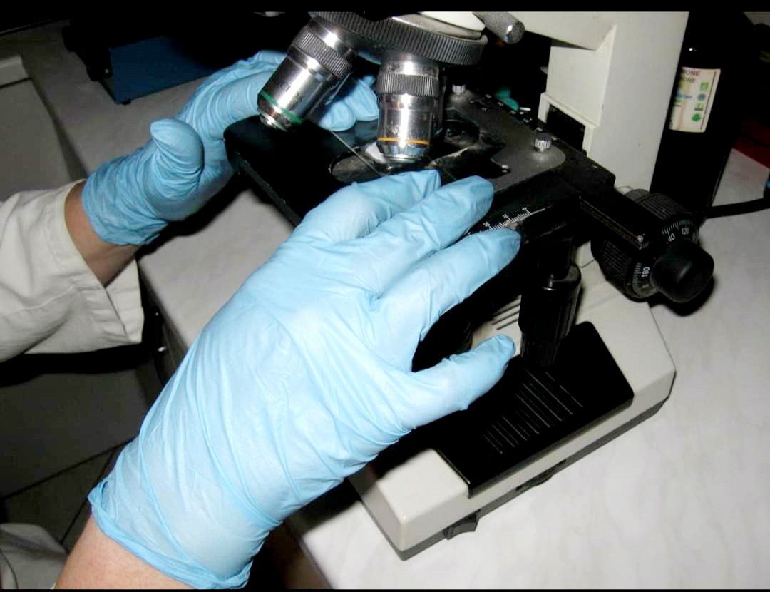 Laboratorijsko testiranje i eksperimentalni rad na razvoju Lonicerm biljnih vaginaleta – dokazan kvalitet kroz godine istraživanja.